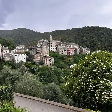 Charming In Corsican Village Apartment *