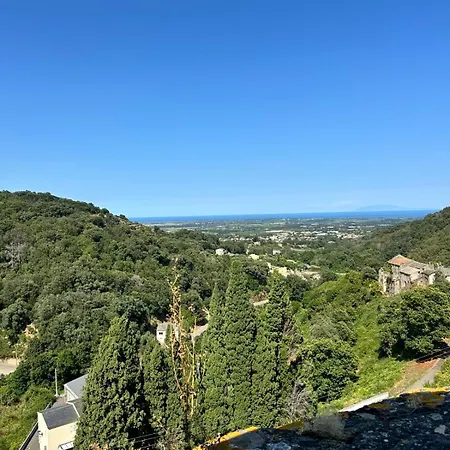 Charming In Corsican Village * Vescovato