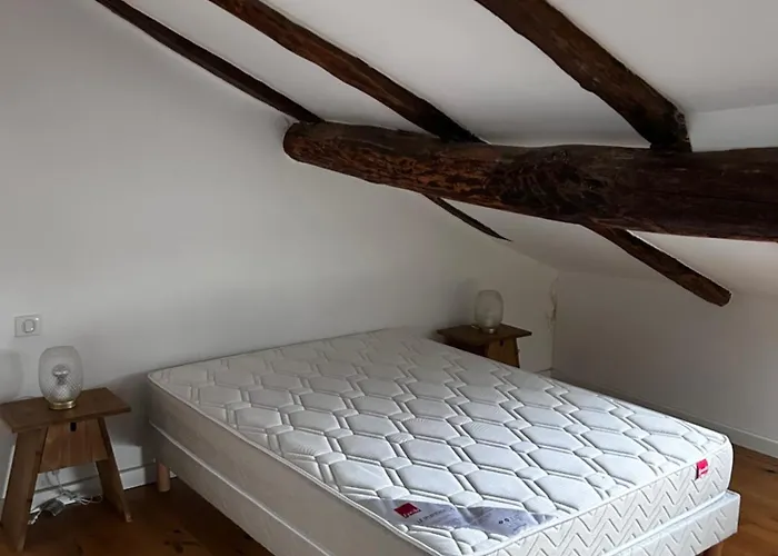 Charming In Corsican Village דירה Vescovato