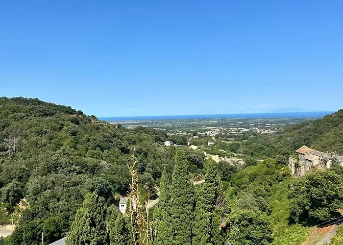 Charming In Corsican Village * Vescovato